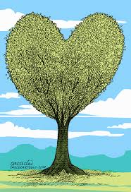 Amor Por Los Arboles Heart Tree Nature Where The Heart Is
