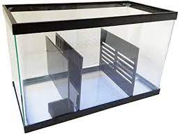 Hi all, this is my first post, although i've been lurking and learning from this forum. Amazon Com Aquarium Sump Refugium Diy Kit For Portein Skimmer Sump Chamber Dividers 10 Gallon Pet Supplies