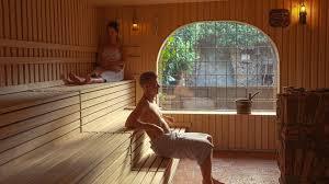 Luxe reisgids roept Van Egmond uit Haarlem uit tot beste sauna van  Nederland [video] | Haarlems Dagblad