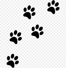 Paw print in the snow. Download Cat Paw Prints Png Images Background Toppng