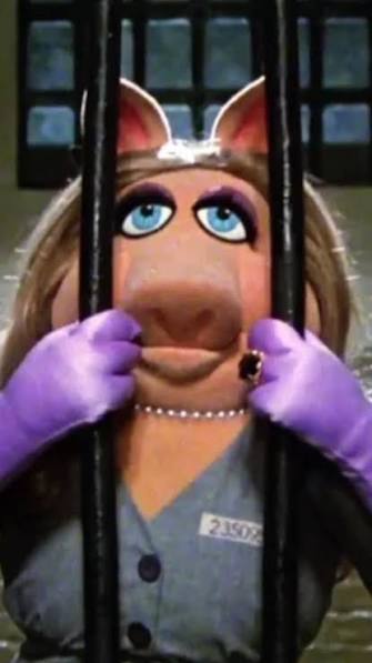 En 1979, Arabia Saudita prohibió a Miss Piggy. ¿El motivo? Era un cerdo en  TV.