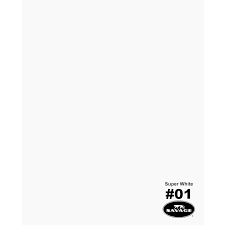 Download Super White Seamless Paper Backdrop Express