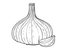 Bawang putih dokumen pribadi 2018 klasifikasi tanaman bawang putih. Bawang Putih Jantung Bumbu Gambar Gratis Di Pixabay