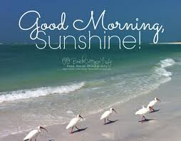 Good Morning Sunshine Along The Water S Edge By Beachcottagelife 39 00 Good Morning Sunshine Morning Quotes Beach Quotes