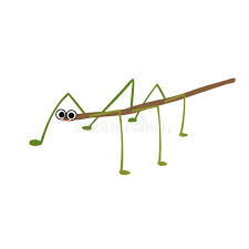 Stick Insect Stock Illustrations 1 736 Stick Insect Stock Illustrations Vectors Clipart Dreamstime It is fairly difficult for the player to see it, for at some angles, the walking stick may blend in with the tree. stick insect stock illustrations 1