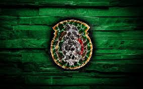 Mexico soccer pic, download free mexico soccer wallpapers 736x588, mobile images of mexico soccer by ailbhe ellson. Cmgamm Wallpaper Mexico Soccer Logo