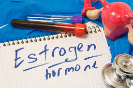 Image result for Estrogen Replacement