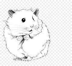 30 gambar kartun anime hitam putih portgas d ace one piece zerochan anime image board download 127 black clover hd w gambar kartun kartun menggambar orang. Gerbil Gambar Roborovski Hamster Gambar Png