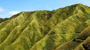 A japanese powder made from specially treated green tea leaves for use in 茶道 (さどう, sadō, japanese tea ceremony). ç¶²ç¾Žå€'ä½ ç¢ºå®šè¦çˆ¬ æŠ¹èŒ¶å±± å'Œå°æž—è³¢ä¼ä¸€èµ·è³žæŠ¹èŒ¶å†°æ·‡æ·‹ ç™¼ç¾4å€‹çœŸç›¸ é£Ÿå°šçŽ©å®¶