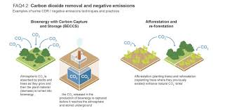 Shantawood sdn bhd is a philippines supplier, the data is from philippines customs data. Chloe Queh Singapore Professional Profile Linkedin
