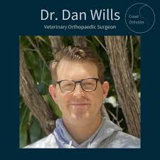 Dan Wills