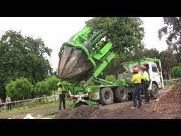 Tree Transplanting With Arborco Melbourne M4v Tree Transplanting Tree Care Landscaping Equipment