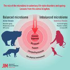 All data and statistics are based on publicly available. The Role Of The Microbiota In Sedentary Lifestyle Disorders And Ageing Lessons From The Animal Kingdom O Toole 2020 Journal Of Internal Medicine Wiley Online Library