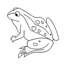 Select from 36013 printable crafts of cartoons, nature, animals, bible and many more. Top 10 Free Printable Jungle Animals Coloring Pages Online