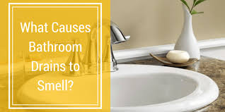 what causes bathroom drains to smell?