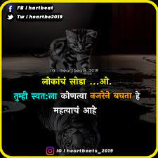 No one has a double in friendship. Cat Quotes Funny Marathi