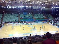 Governor anil baijal, gambhir said the sports complex should be renamed after jaitley for his contribution to nation building and for his love for cricket. Thyagaraj Sports Complex Wikipedia