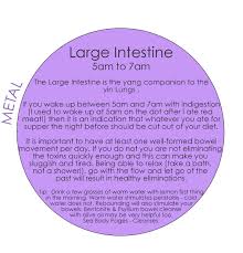 The large intestine (the colon) stores and excretes waste. 7 Lung And Large Intestine Meridian Exercises Help Ideas Chinese Medicine Traditional Chinese Medicine Acupuncture