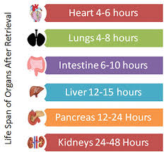 NOTTO taking steps towards saving lives: Prof. Vimal Bhandari ...