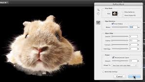 Bm kitten whiskers 1003 paint colors for home grey. Photoshop Cute Animal Selection Nightmares Solved Macprovideo Com