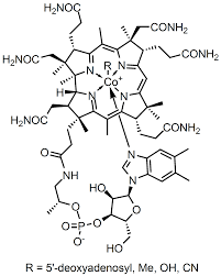 Structural Formula Wikipedia