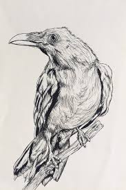 Black And White Raven Drawing White Raven In 2020 White Raven Black And Grey Tattoos Raven