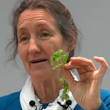 As a beginner with no experience. I bought 9l entronics dual airfryer for  76 quid