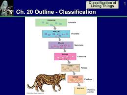 Classification Of Living Things 1 Ch 20 Outline