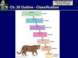 classification of living things 1 ch 20 outline