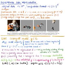idea behind lime and shap data science ai machine learning deep learning