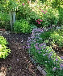 Pin By Leslie Grayson On Deck Patio Garden Ideas For Mike Patio Herb Garden Healing Garden Organic Gardening Pest Control