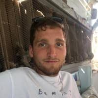 16000+ "Leo -." profiles