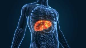 Liver cancer symptoms include jaundice and a lump below the rib cage on your right side. Do Not Wait Until It Is Too Late Knowing Warning Signs Of Liver Cancer Wattanosoth Cancer Hospital