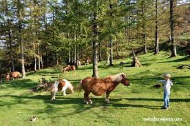 Maybe you would like to learn more about one of these? 11 Destinos En Espana Para Descubrir Con Ninos En El 2020 Menudos Viajeros