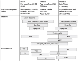 What are bone marrow and hematopoietic stem cells? An Update On Pulmonary Complications Of Hematopoietic Stem Cell Transplantation Chest