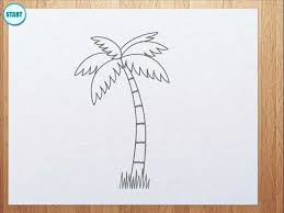 Search through 623,989 free printable colorings at getcolorings. How To Draw Palm Tree For Kids Youtube