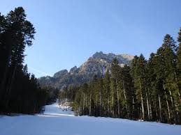 Best dining in busteni, prahova county: Cantacuzino Castle Busteni A Visit To The Castle And More
