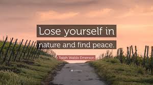 Ralph Waldo Emerson Quote Lose Yourself In Nature And Find Peace 7 Wallpapers Quotefancy Inspirational images about peace and encouraging bible verses from the king james bible. lose yourself in nature and find peace