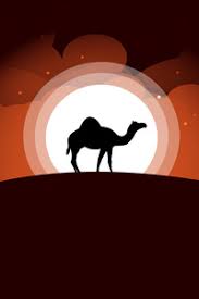 Try this software to get a competitive edge and boost sales. Camel 1440x2960 Resolution Wallpapers Samsung Galaxy Note 9 8 S9 S8 S8 Qhd