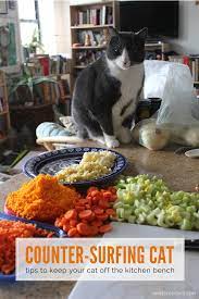 How To Keep Your Cat Off The Kitchen Counter Cats Keeping Cats Off Counters Cat Behavior