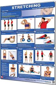 Productive Fitness Chart Stretching Upper Body Laminated
