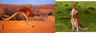 Join facebook to connect with savanna kayla and others you may know. A Blog To Help Aspiring Artists Kayla