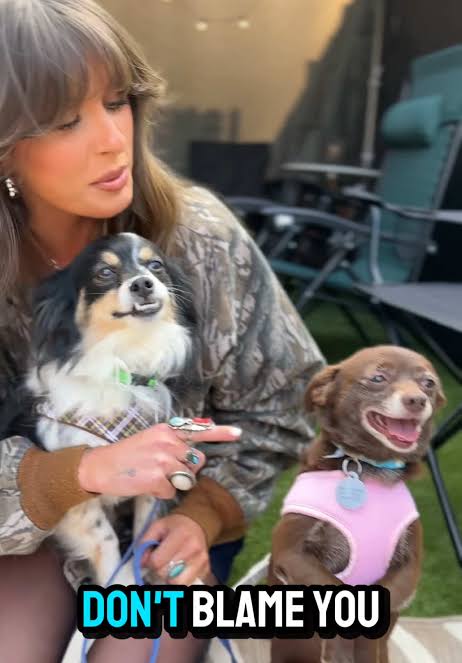Adopt Wonton and Egg-drop: The Doggie Duo Needs You