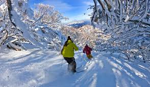 The mt buller post office is located in the reception and interpretive centre on the top level of alpine central. The First Timer S Guide To Skiing At Mt Buller Australian Traveller Australian Traveller