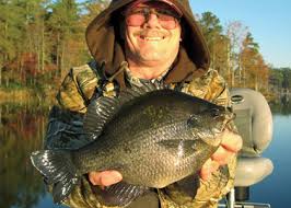 panfish hair jigs for giants