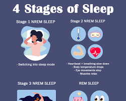 Stage 2 NREM sleep