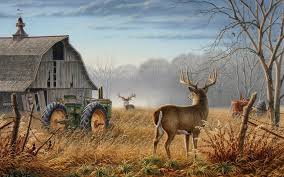 Deer Backgrounds Deer Wallpaper Wildlife Art Deer Pictures A collection of the top 69 wildlife hd desktop wallpapers and backgrounds available for download for free. deer wallpaper wildlife art