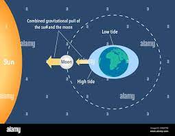 The study of gravitation
