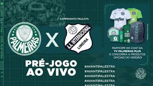 Jogo palmeiras x river plate ao vivo: Ao Vivo Palmeiras X Inter De Limeira Pre Jogo Oficial Youtube
