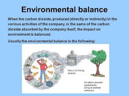 The environment of galaxy refers to conditions of interstellar medium. What Is Environmental Balance Social Science Our Changing Earth 15017445 Meritnation Com